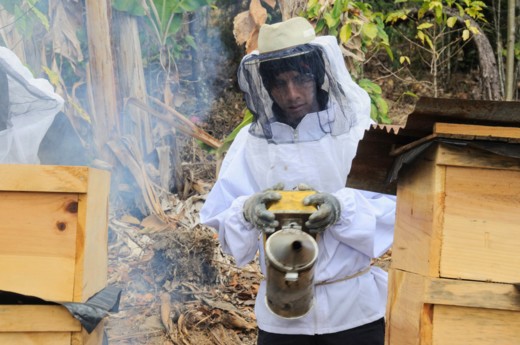 Pueblo a Pueblo beekeeping