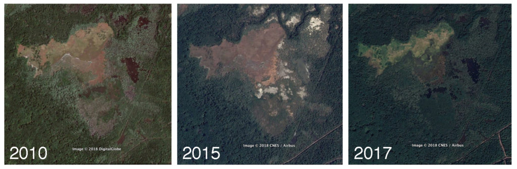 EcoViva Satellite Images 2010 2015 2017 Humanist Grants