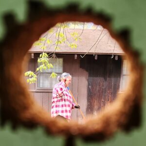 Framed by a hole in a wooden fence, volunteer Melanie raking at the Long Lake Outdoor Center.