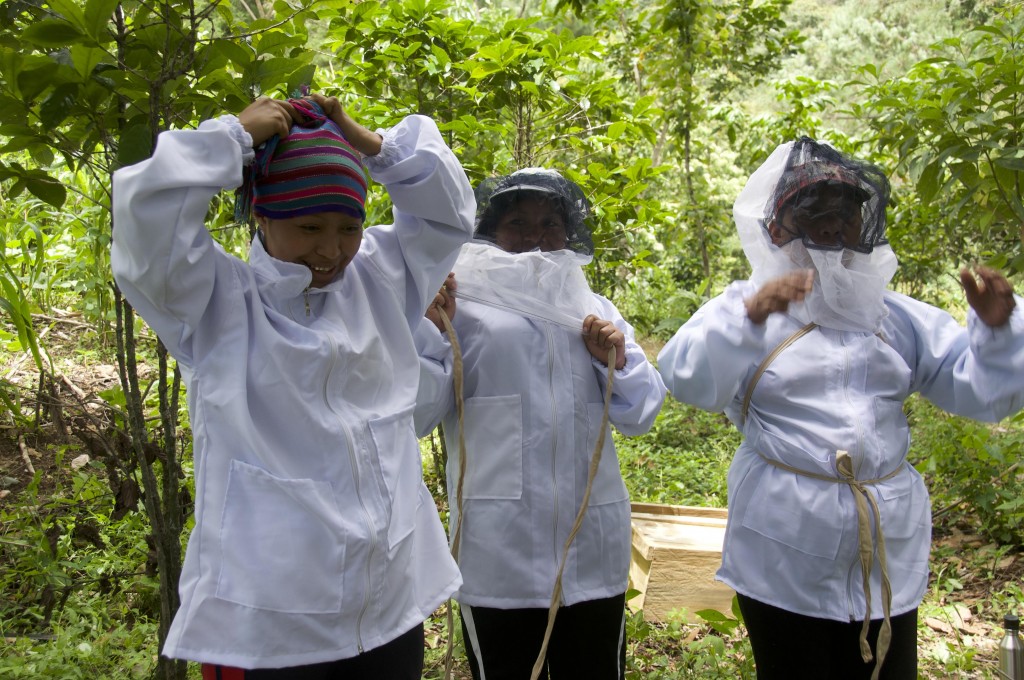 Group members suit up to check on their hives